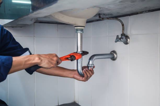Best Plumbing Services Near Me  in Mound, MN